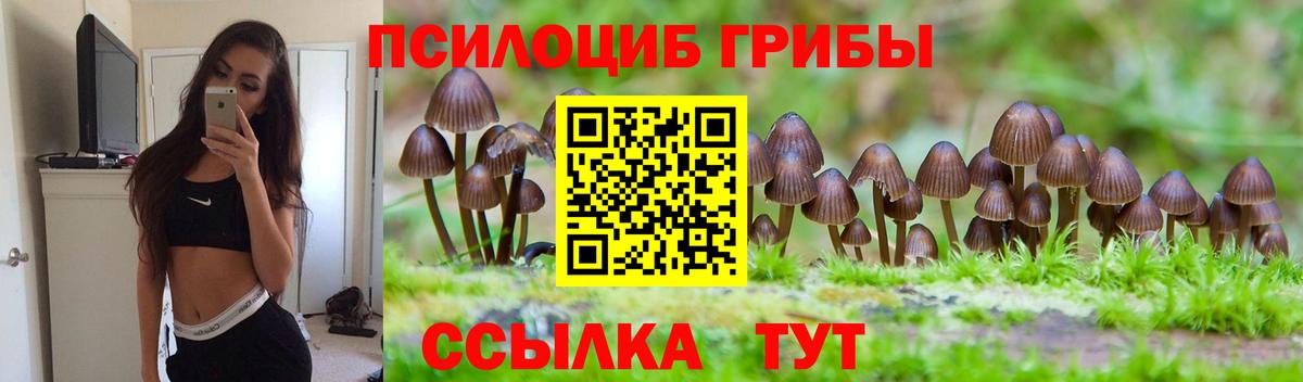 Сарапул  Псилоцибиновые грибы Magic Shrooms  Вход с VPN 